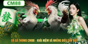 Đá Gà Cựa Sắt CM88: Khái Niệm Và Những Điều Cần Biết